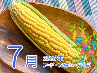 2025N7 t[htH