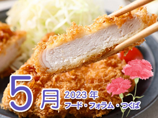 2023N5 t[htH